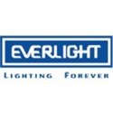 Picture for manufacturer EVERLIGHT